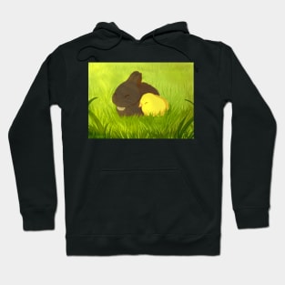 Bunny and Chick Hoodie